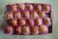  Red Honey Apples (Red Miel Pommes)