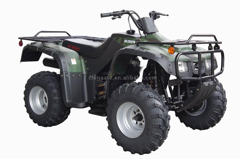  EPA 250CC ATV (ATV 250CC EPA)
