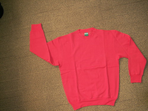  Men`s Sweatshirt (Толстовка мужская)