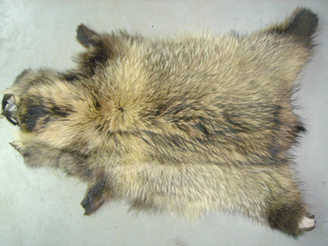  Raccoon Fur (Мех енота)