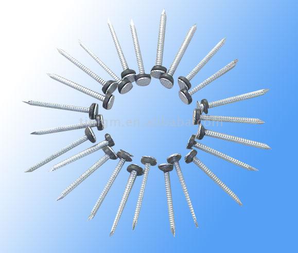  Galvanized Roofing Nail with Neoprene Washer (Clou galvanisé Toiture en Néoprène Washer)