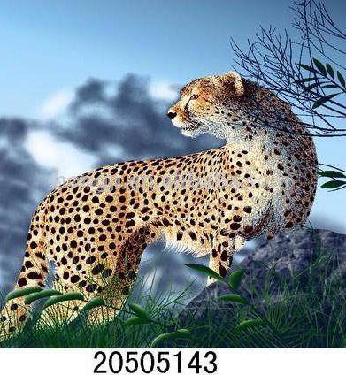  Animal Designs Blanket (Animal Designs Decke)