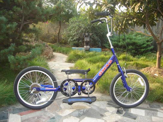  20" Chopper Bicycle (20 "Chopper Bicycle)