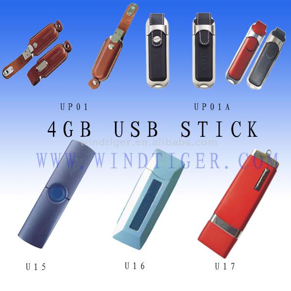  4GB USB Flash Drive (4GB USB Flash Drive)