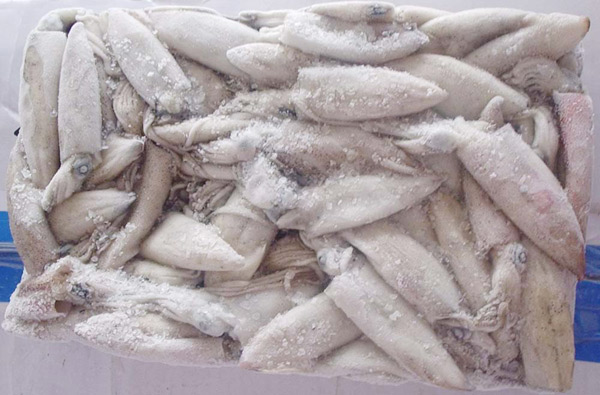  Frozen Whole Squid Block (Замороженные целые Squid блока)