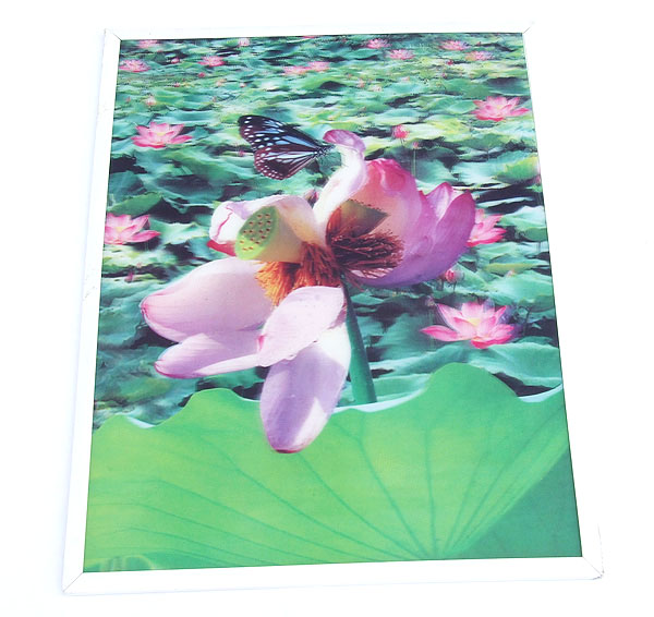  Plastic Board ( Plastic Board)