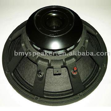  12" Neodymium Speaker