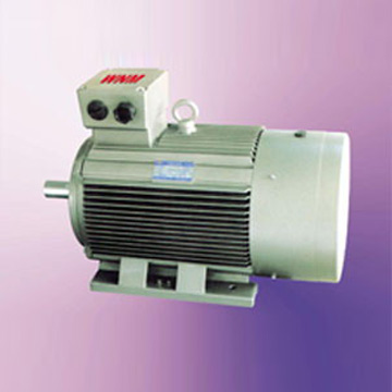  Y2 Series Three-Phase Induction Motor (Y2 Series Three-Phase Induction Motor)