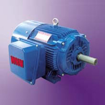 NEMA Design B Induction Motor (NEMA Design B Induction Motor)