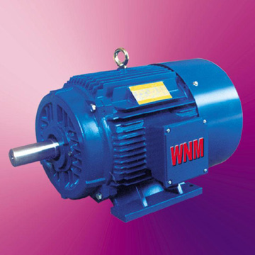  YFP Series Three-Phase Induction Motor (YFP Serie Drehstrom-Asynchron-Motor)