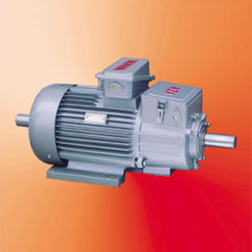  Induction Motor for Crane and Metallurgy Machine