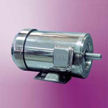  Stainless Steel Washdown Duty Motor ( Stainless Steel Washdown Duty Motor)