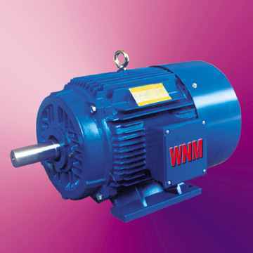  Y2-E Series Three-Phase Induction Motor (Y2-E-Serie Drehstrom-Asynchron-Motor)