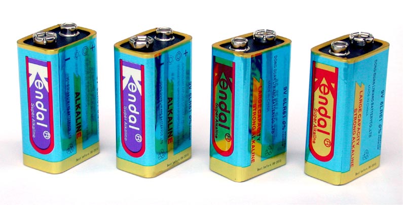  9V Alkaline Battery (Batterie alcaline 9V)