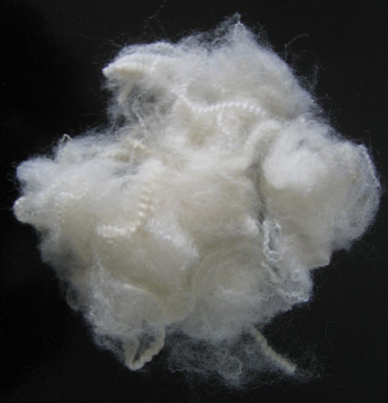  Regenerated PSF ( Regenerated PSF)