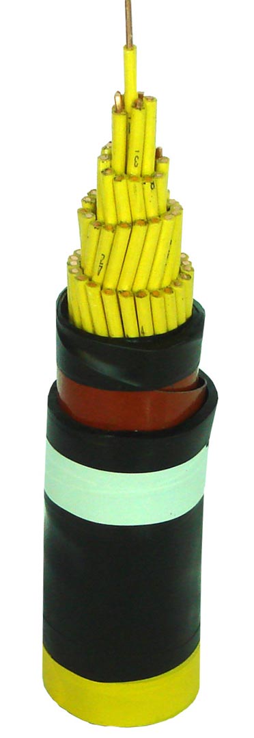  Control Cable (Control Cable)