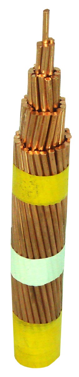  Bare Cable (Bare-Kabel)