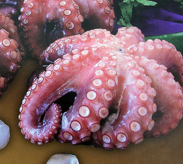 Frozen Insgesamt Octopus (Frozen Insgesamt Octopus)