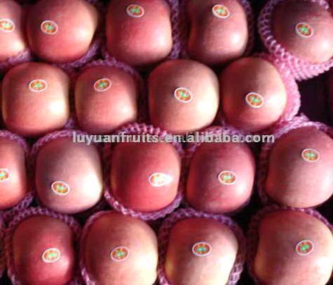  Fuji Apples (Pommes Fuji)