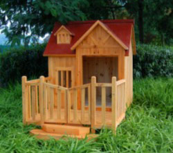  Dog House ( Dog House)