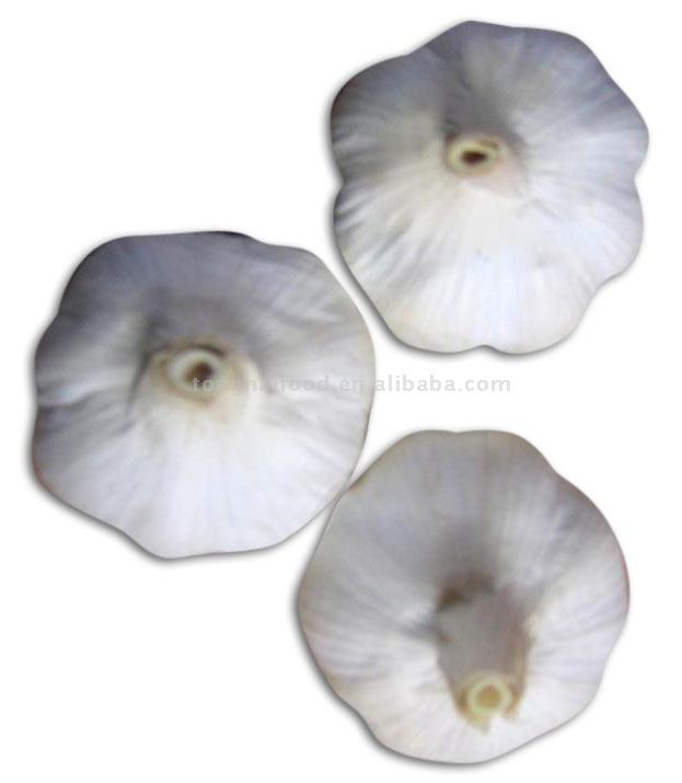  Garlic ( Garlic)