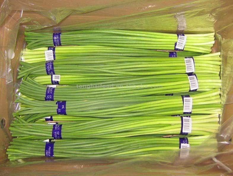  Garlic Sprouts (Чеснок рассада)
