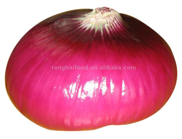  Fresh Red Onion (Frais d`oignons rouges)