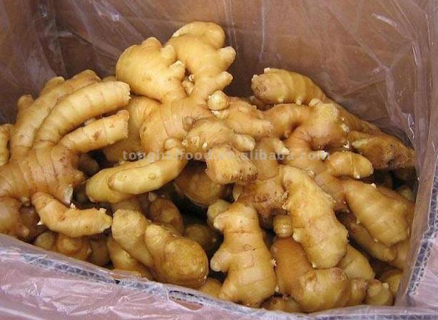  Fresh Ginger in Carton (Gingembre frais en Carton)