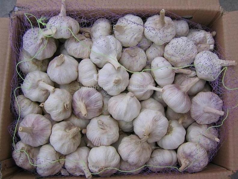  Normal White Garlic in Carton (Нормальный белый чеснок в картонной)