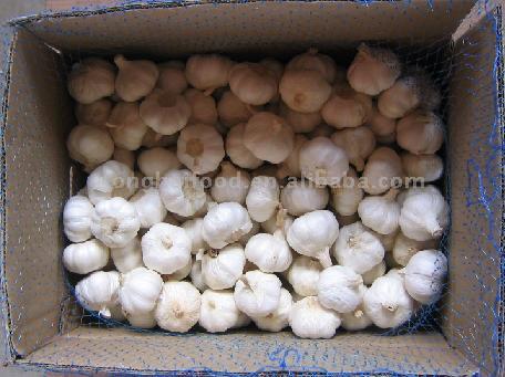  Pure White Garlic in Carton