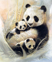  Landscape Oil Painting (EH-010) ( Landscape Oil Painting (EH-010))