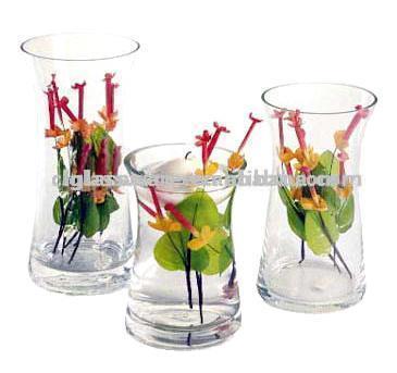  Glass Vases ( Glass Vases)