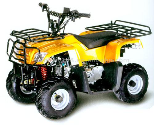  90cc/110cc ATV with EPA ( 90cc/110cc ATV with EPA)