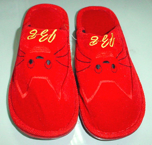  Indoor Slipper (Indoor Slipper)