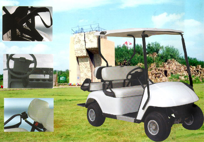  Electric Golf Cart (Electric Golf Cart)