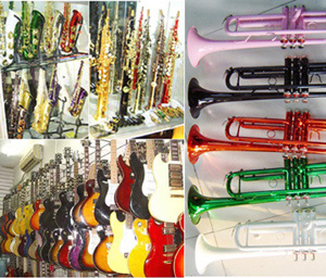 Musical Instrument