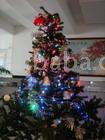  LED Chirstmas Light (LED Light Chirstmas)