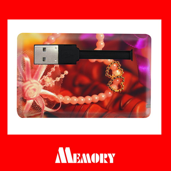  USB Flash Disks