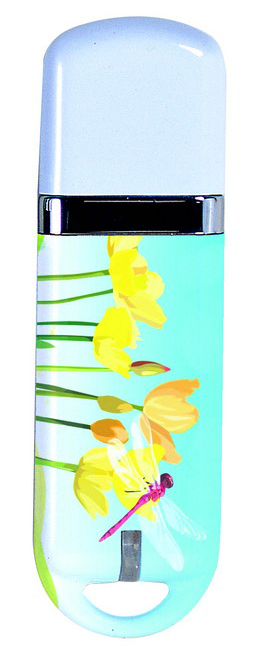  USB Flash Disk ( USB Flash Disk)