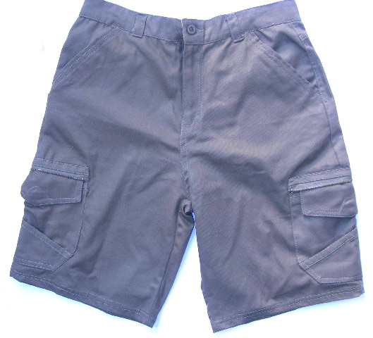 Men`s Shorts (Men`s Shorts)