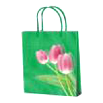 Shopping Bag (Shopping Bag)