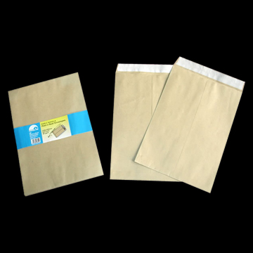 Peel-N-Seal Envelope (Peel-N-Seal Envelope)
