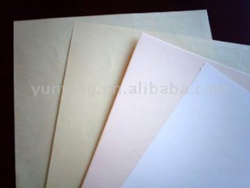  Coated Cardboard with White Back ( Coated Cardboard with White Back)