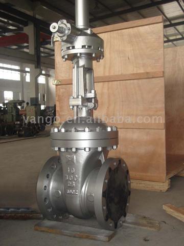  Gate Valve (Schieber)