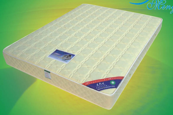  Health Spring Mattress (Здравоохранение пружинным матрацем)