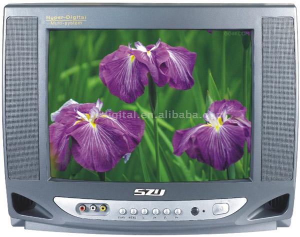  14" Color Television & SKD (14 "Farbfernseher & SKD)
