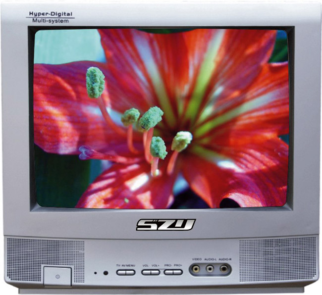  14"-15" Color Television & SKD (14 "-15" Color Television & SKD)