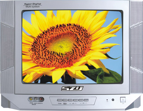  14" Color Television & SKD (14 "Farbfernseher & SKD)