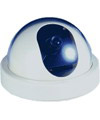  DT-P7132 Dome Camera (DT-P7132 caméra dôme)