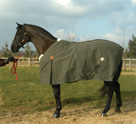  Horse Blanket (Pferdedecke)